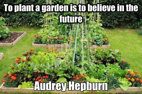 Food & gardening memes 2 |